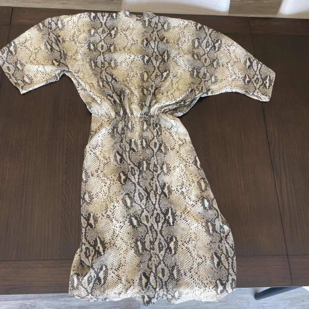 Zara Dress - Picture 3 of 6